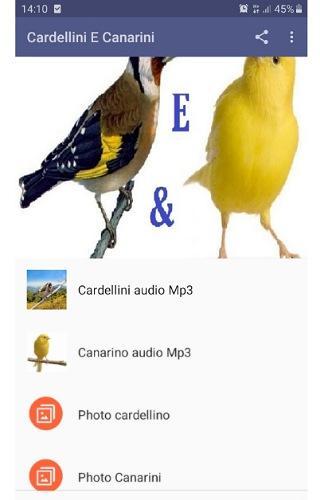 Cardellini E Canarini Mp3 APK per Android Download