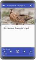 Richiamo Quaglia 스크린샷 1