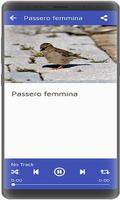 Richiamo passero mp3 capture d'écran 2