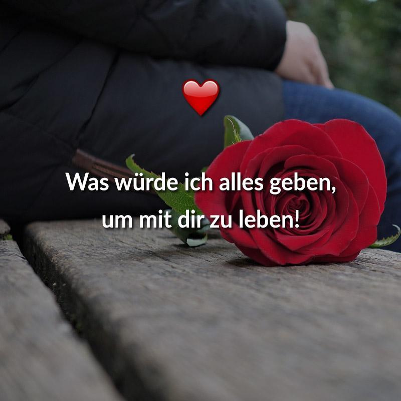 Susse Spruche Und Bilder For Android Apk Download