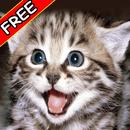 Animal Sounds APK