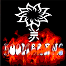 FULL ALBUM LAGU BOOMERANG APK