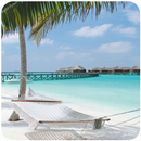 Amazing Beach Wallpaper APK
