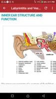 Ear Infection captura de pantalla 3