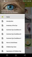 Poster Common Eye Diseases