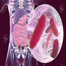 Klebsiella Pneumoniae APK