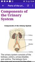 Urinary Diseases capture d'écran 1