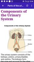 1 Schermata Urinary Diseases