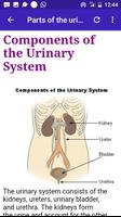 Urinary Diseases screenshot 1