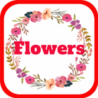 ikon Beautiful Flowers Arrangements