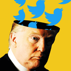 Trump Twitter icône