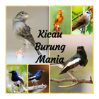 Aplikasi Masteran Suara Burung Kacer Pikat Juara आइकन