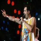 Freddie Mercury Songs 图标