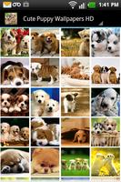 Cute Puppy Wallpapers HD Cartaz