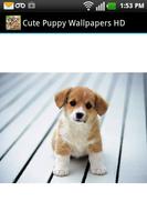 Cute Puppy Wallpapers HD syot layar 1