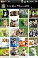 Cute Kitten Wallpapers HD Poster