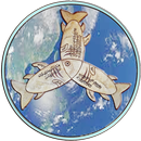 Amaliyah Mursyid 38 APK