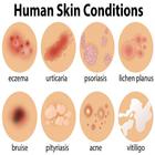 Dermatology Atlas ícone
