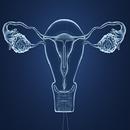 Obstetrics & Gynecology APK