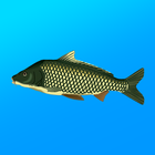 True Fishing. Simulator icon
