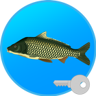 Реальная Рыбалка (ключ) иконка