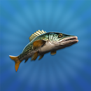 APK True Fishing 2: Online 3D