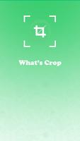 Whatscrop - Set full size dp poster