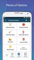 Cricket Calculator 截圖 1