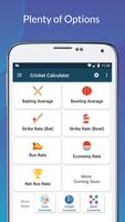 Cricket Calculator تصوير الشاشة 1