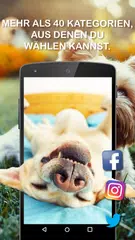 Hintergründe (Wallpapers) APK Herunterladen