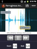 Ringtone Maker 截图 1