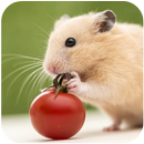 Hamster Vetor APK