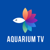 APK Aquariums TV