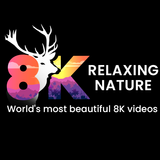 8K Landscapes APK
