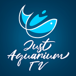 Just Aquarium TV