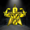 OVW WRESTLING