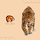 Tiger Social Videos APK