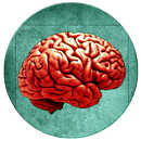 Filosofia APK