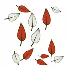 VisualCode Reader biểu tượng