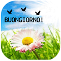 Buongiorno e buonanotte amore