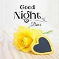 Good Night Morning Flowers