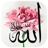 صور أدعية و خلفيات إسلامية