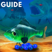 Guide for fish feed and grow 2020