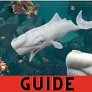Guide for hungry shark summer 2020 APK