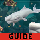 Guide for hungry shark summer 2020 icon