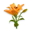 3D Photo Reel Demo APK