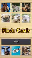 Flash Cards Affiche
