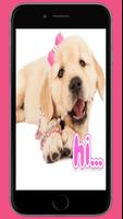Funny Dog Stickers For WhatsApp - WAStickerApps Affiche