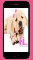 Funny Dog Stickers For WhatsApp - WAStickerApps পোস্টার