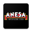 Anesa Birra icon